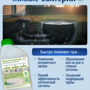 Квантум Септик