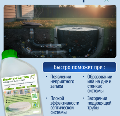 Квантум Септик