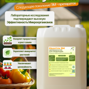 Квантум ЭМ