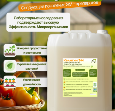 Квантум ЭМ
